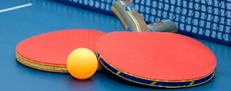 탁구채추천 - 입문자 초보차 탁구채
