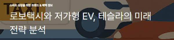 로보택시와 저가형 EV, 테슬라의 미래 전략 분석