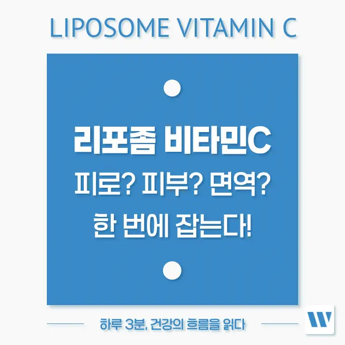 리포좀 비타민C 효능