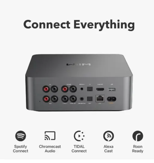 WiiMUltra 오디오 스트리머