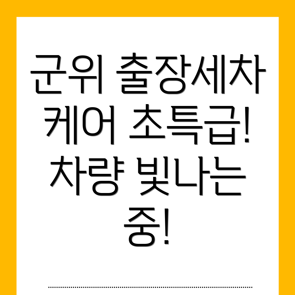 군위군 출장세차
