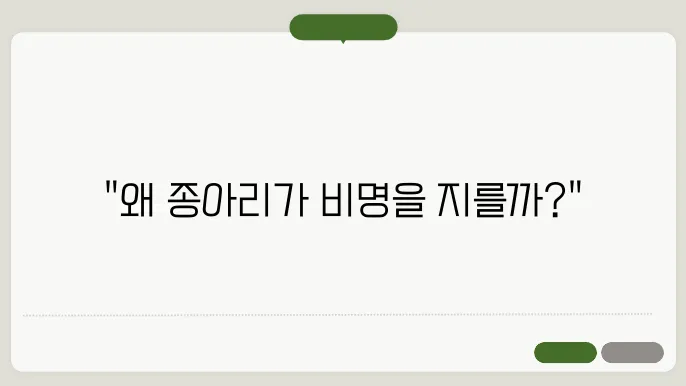종아리 근육 통증 원인 알아보기