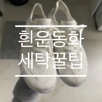 운동화 세탁 세제 비율과 솔질 건조 망 사용법_19