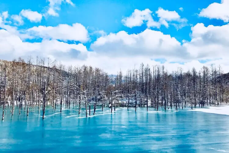 비에이-2