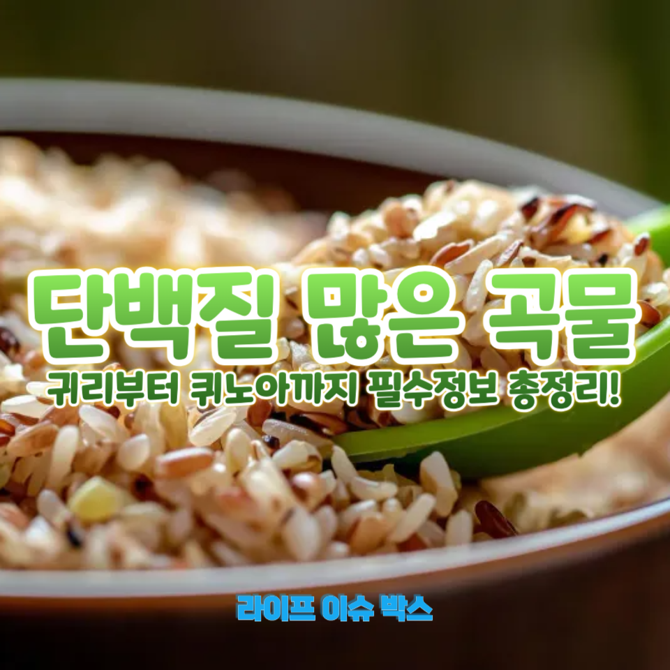 단백질 많은 곡물