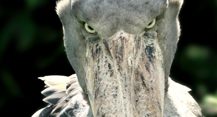 사천 아쿠아리움