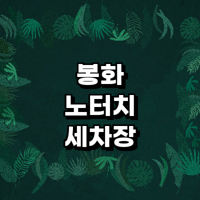 봉화군 노터치 세차