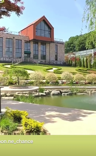 용인 자작나무숲 봄꽃 축제