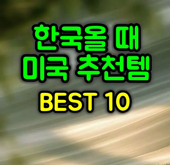 미국 선물추천 아이템