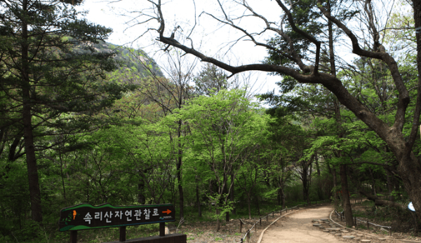 속리산 숲체험휴양마을