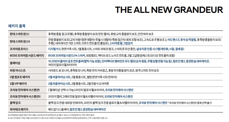 그랜저 선택 옵션의 세부 사항과 적용 조건이 명시된 문서 화면
