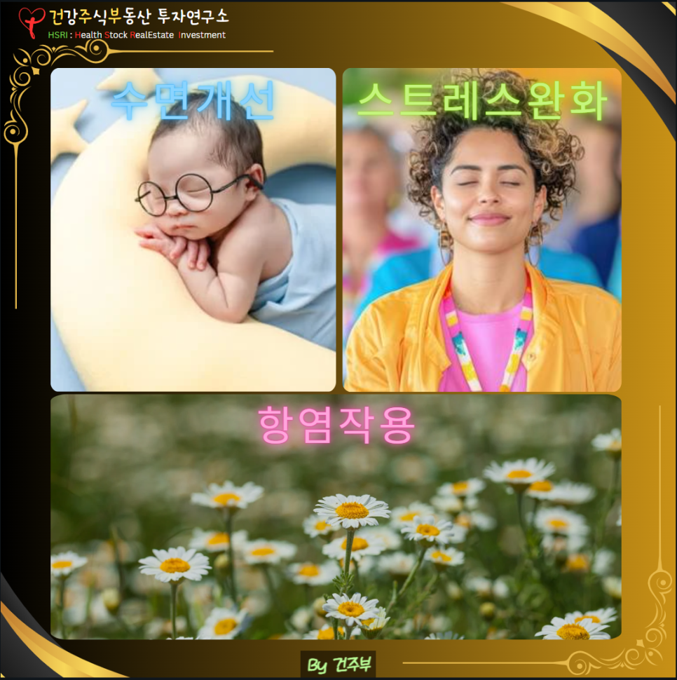 수면개선, 스트레스 완화, 항염작용에 효능이 있습니다.
(글 그림 : 건주부, 그림 출처 : Canva)