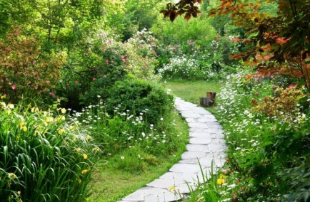 전라도 수국명소 추천 7곳, 수국이 만개한 아름다운 여름을 걷다