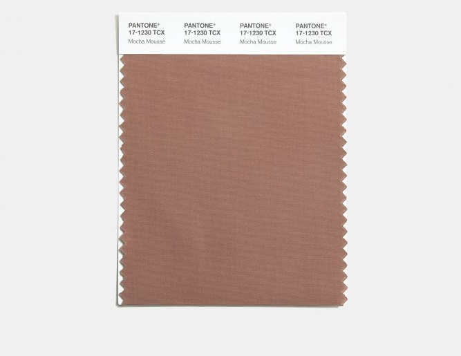 팬톤 2025 올해의 컬러 모카무스 칩