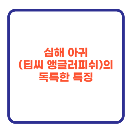 심해 아귀(딥씨 앵글러피쉬)의 독특한 특징