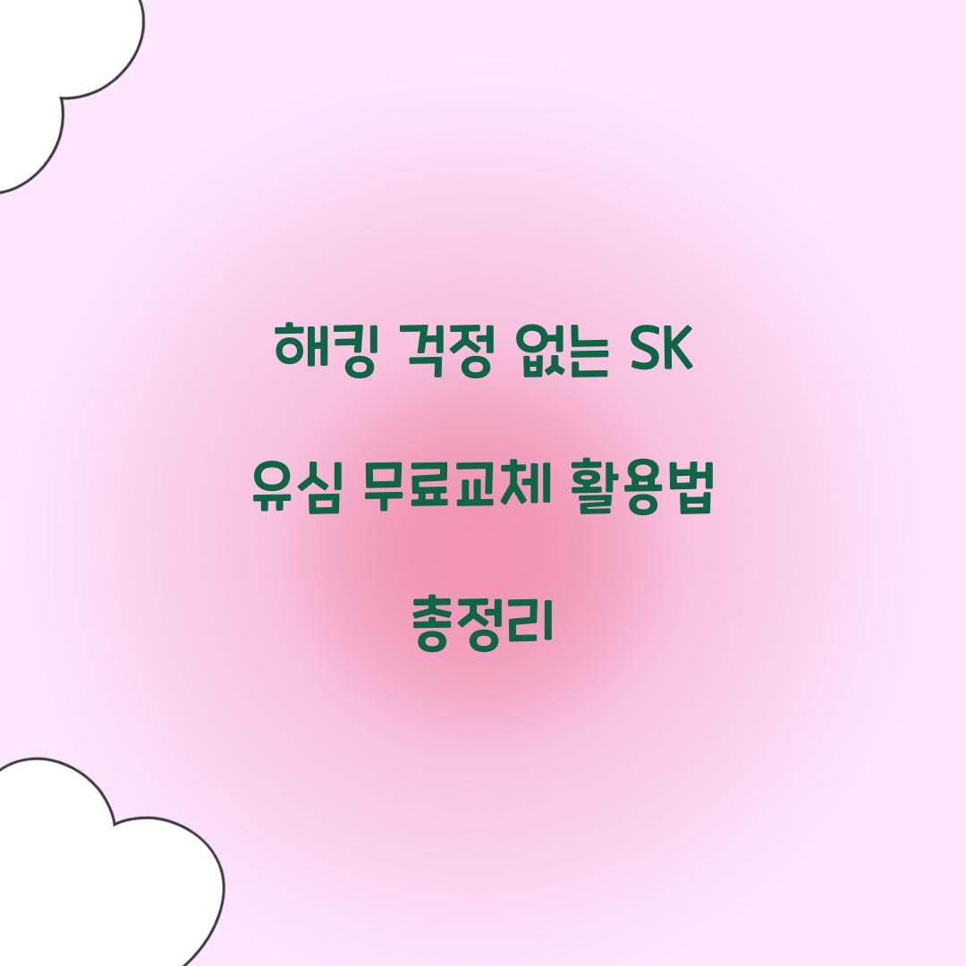 해킹 걱정 없는 SK 유심 무료교체 활용법