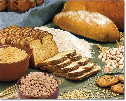 식이섬유많은음식