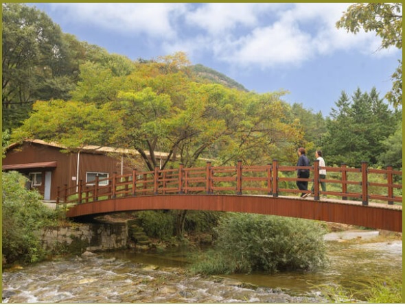 서울대 안양수목원(관악수목원) 개방 안내