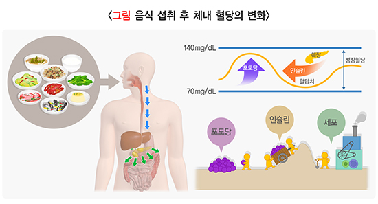 당뇨 초기증상 원인 예방 방법 혈당 낮추는 식단