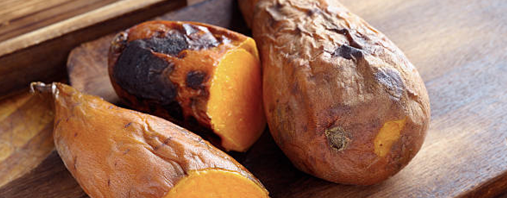 집에서 군고구마 맛있게 굽는방법 예시