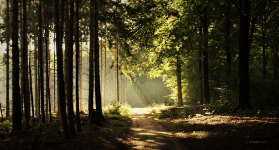 5분 거울 앞 자기 확언, 자존감 회복 루틴