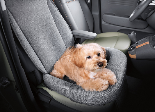 현대 캐스퍼 내부 디자인