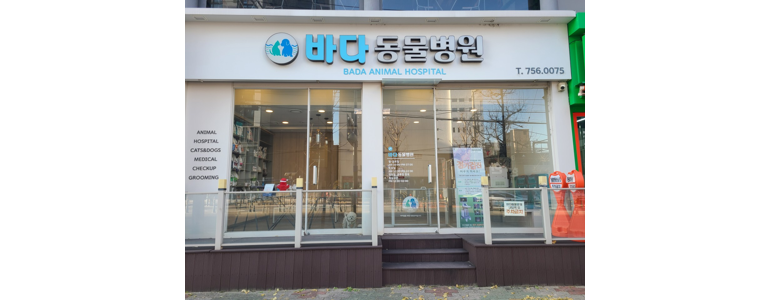 부산 수영구 동물병원