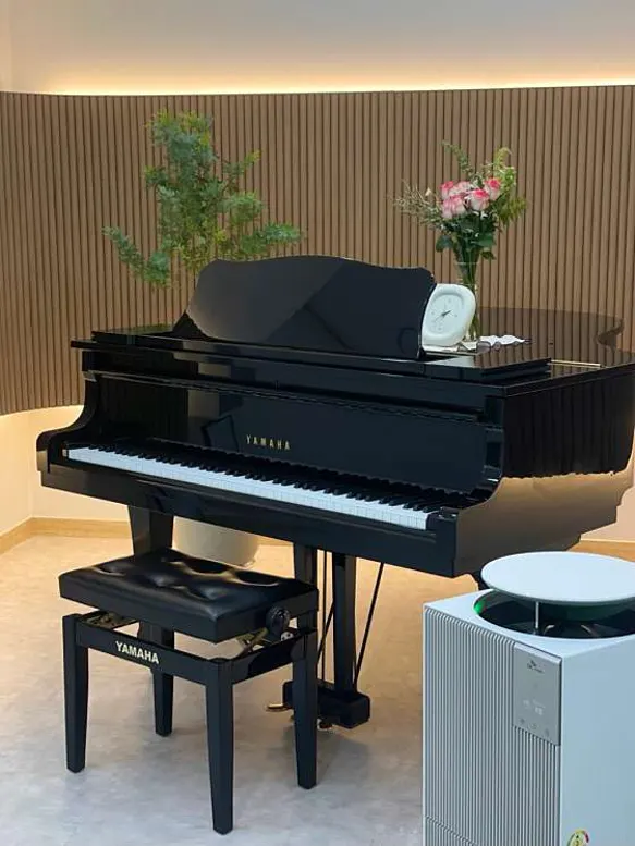 로이피아노음악학원