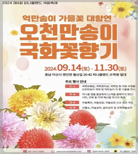 피나클랜드 오천만송이 국화축제