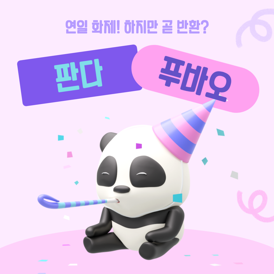 연일화제 푸바오 섬네일 이미지.