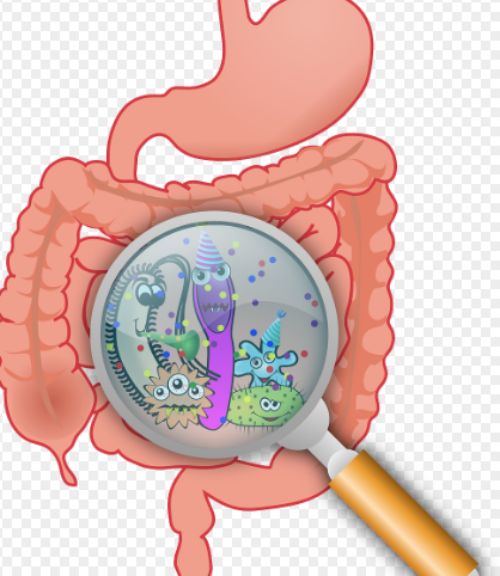 근감소증 증상과 예방법 | 이 수치를 주의깊게 확인하세요