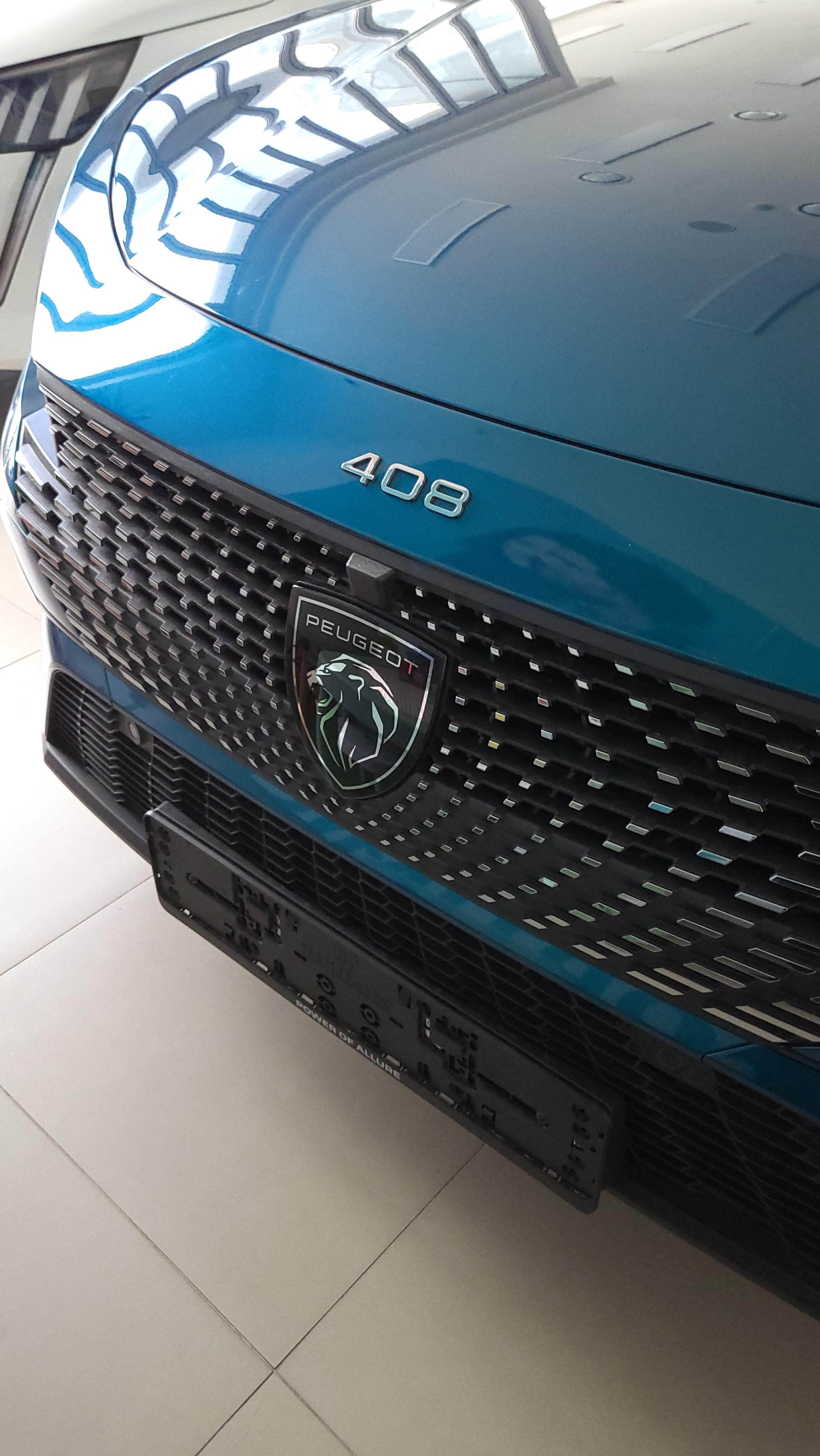 푸조 408 프론트 그릴