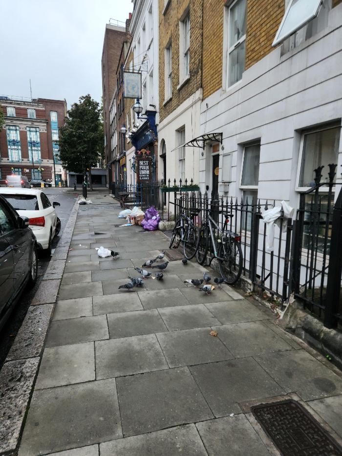there are many pigeons on London street