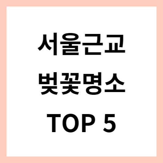 서울근교벚꽃명소