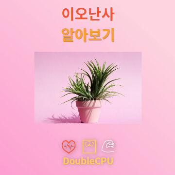 이오난사 탐구