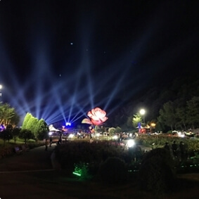 울산 꽃축제