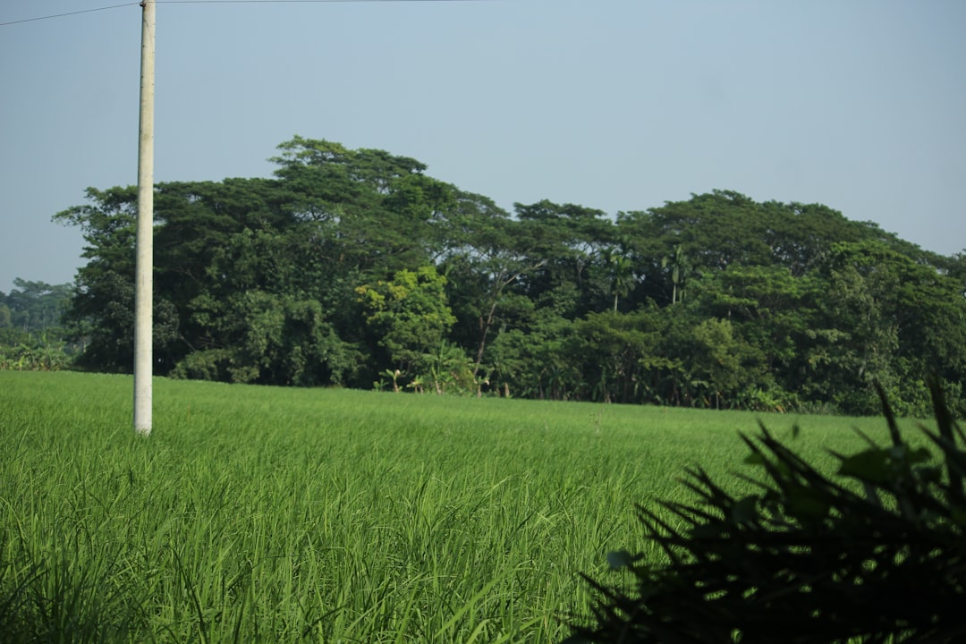 Land Use