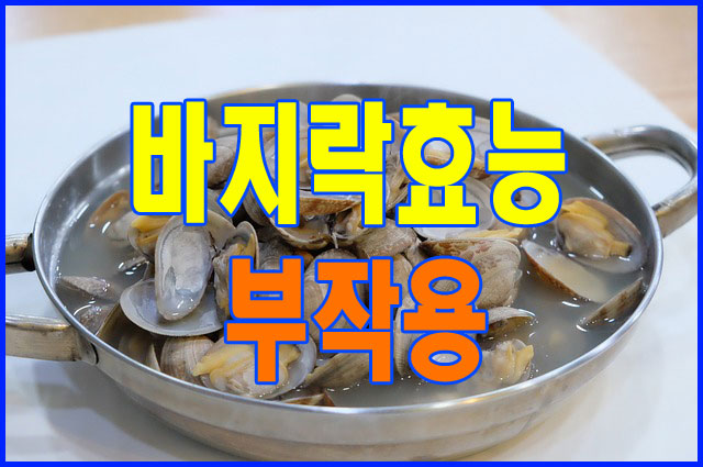 바지락 효능 8가지 및 부작용
