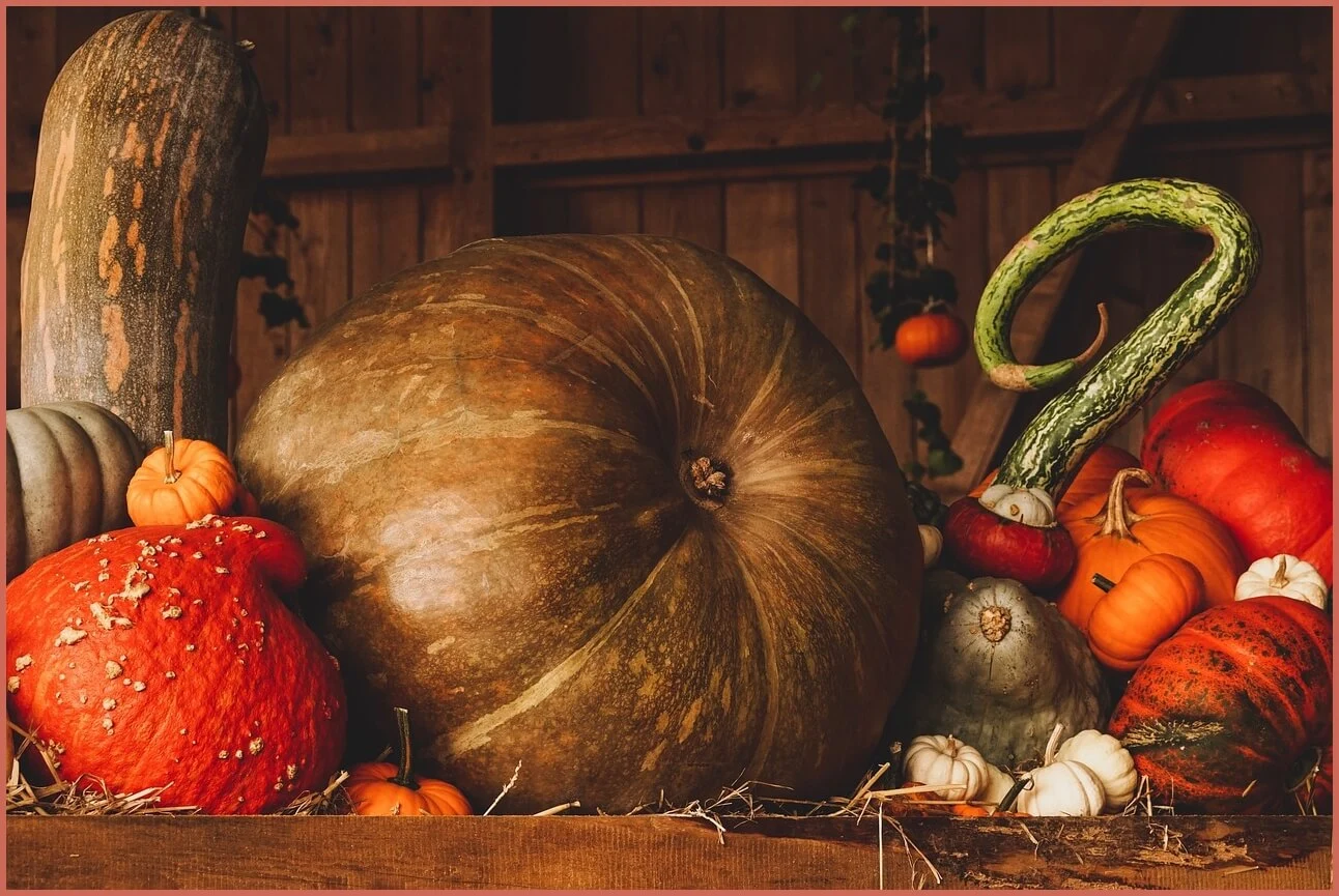 정기예금 금리 가장 높은곳