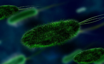 엠폭스-백신-관련주
