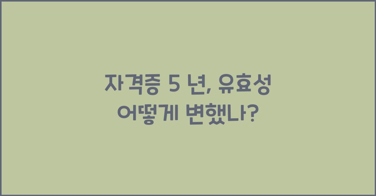 자격증 5 년