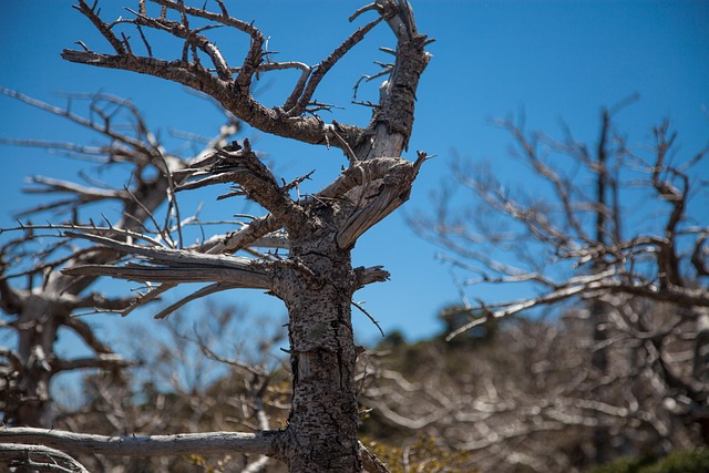 킹더랜드&amp;#44; 웃음 뒤에 숨겨진 진짜 행복 찾기