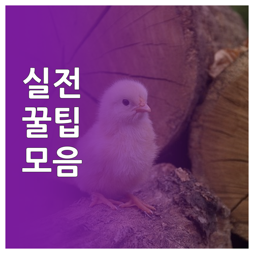 내 웹사이트 애드센스 승인 필수 체크..