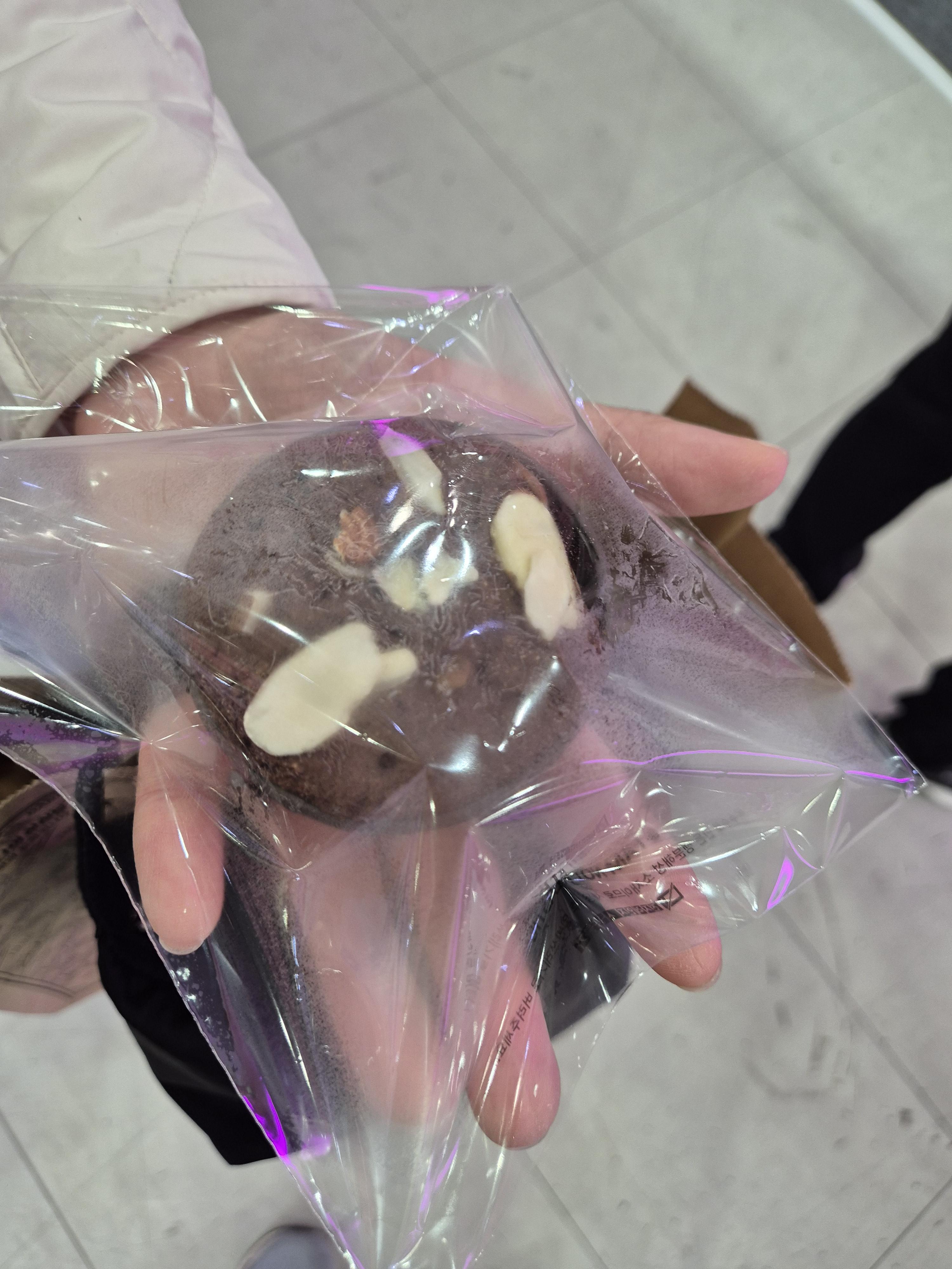 대전 미래교육 박람회 실제 만든 컵케이크