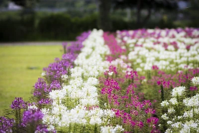 5월-국내-여행지-추천-순천