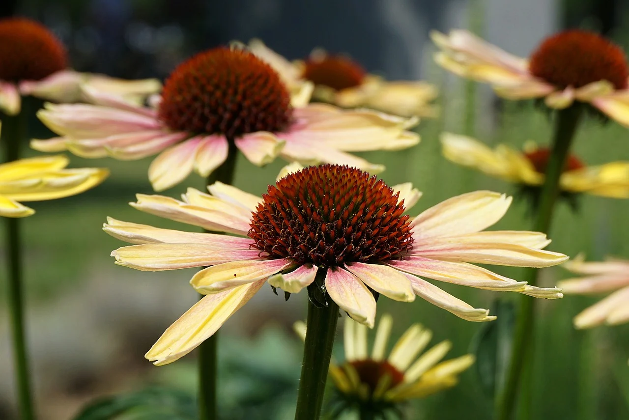 제11편부터 제15편까지의 구조적 정리: 개인 판단을 재구성하는 사회적 압력의 메커니즘