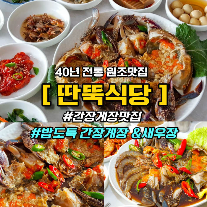 SBS 생방송 투데이 3492회 2024년 3월 15일 태안 꽃게 한 상 딴뚝식당 게국지