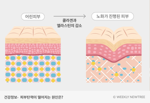 피부콜라겐