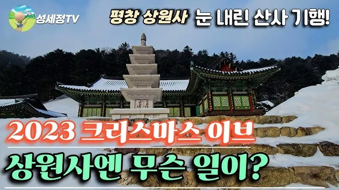 평창 가볼만한곳 베스트10 대관령 양떼목장 허브나라 드라이브_3