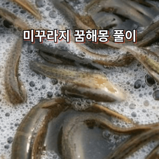 미꾸라지 꿈해몽 풀이